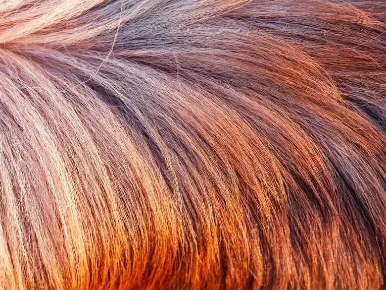 Copper red Remy human hair extension strands close-up — LUSSÉ Dubai